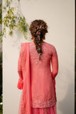 SUGAR CORAL